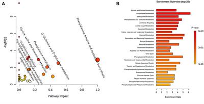 Computational Metabolomics Reveals the Potential Mechanism of Matrine Mediated Metabolic Network Against Hepatocellular Carcinoma